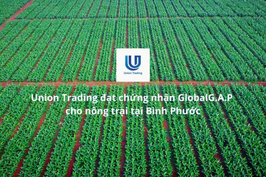 union trading dat chung nhan globalgap cho nong trai tai binh phuoc